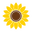 andeedobkin.com favicon